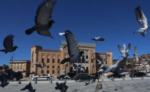 Foto: Dž.K./Radiosarajevo / Pušteno 500 golubova sa platoa Vijećnice